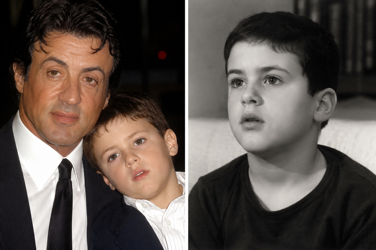 seargeoh stallone